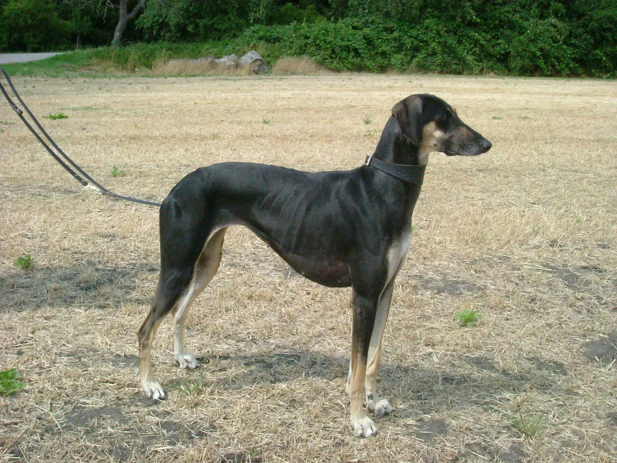 Mantle